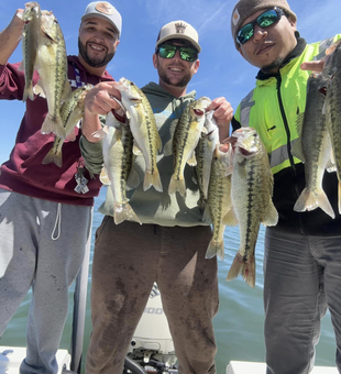 Angling Excitement on Hartwell